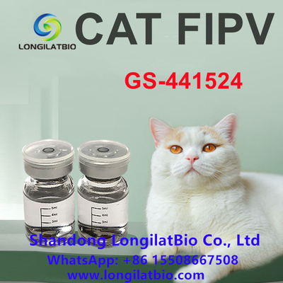 Anti FIP Remdesivir FIP Treatment Cat FIP ​​GS 441 20มก./มล