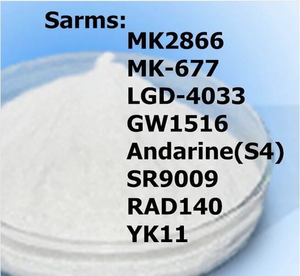 สมดุลไนโตรเจน Ostarine Mk-2866 Sarms ผง GW-0742 กล้ามเนื้อได้รับ