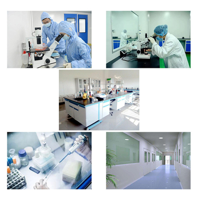 อาหารเสริม 98% Nicotinamide Riboside Chloride CAS 23111-00-4 NR